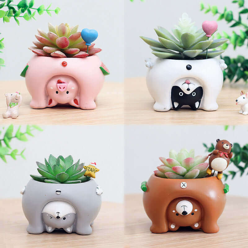 Cartoon planter - showing 4 style Flowerpots on a table with plant inside MalonesSpecialtyStore.com