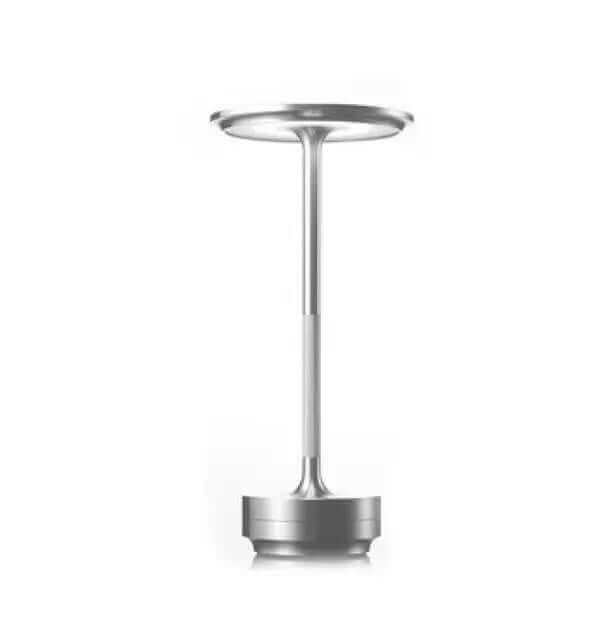 Small Table Lamp | indoor/outdoor. Silver Lamp on white background. MalonesSpecialtyStore.com 
