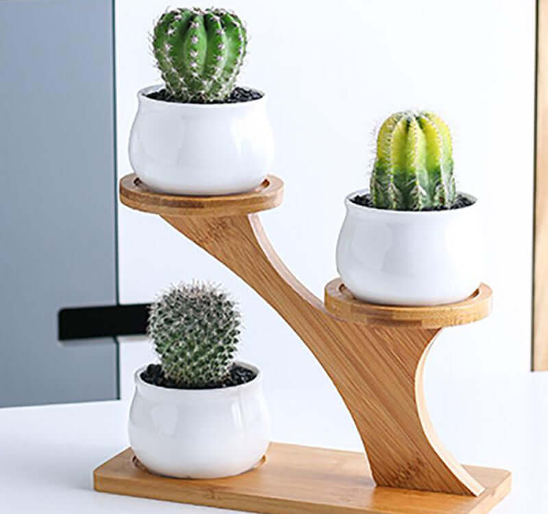 Succulent Pots with Bamboo Stand - MalonesSpecialtyStore.com